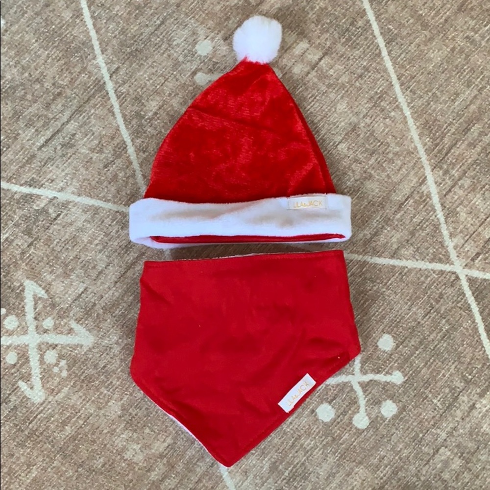 NWOT - Lila & Jack Baby Christmas Santa Hat & Bib